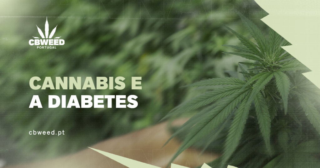 Artigo: Cannabis e a diabetes