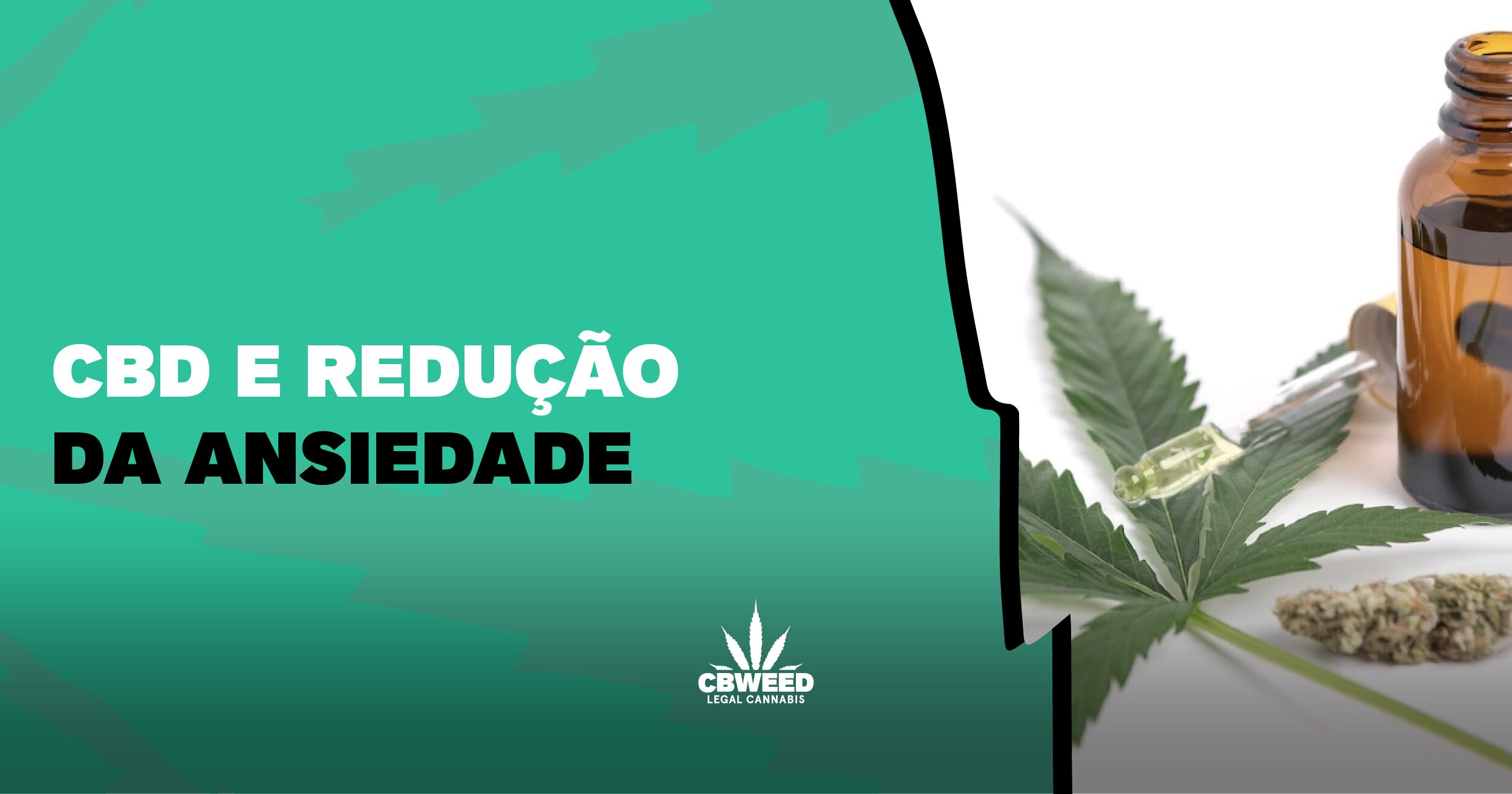 Ansiedade: o que é, tipos, como controlar, benefícios da Cannabis