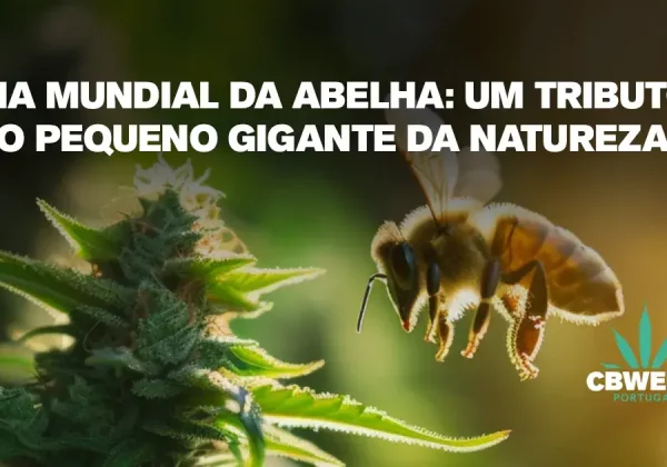 Dia Mundial da Abelha