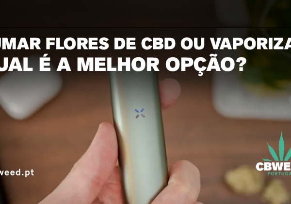 blog – 06-10 blog - 06-10