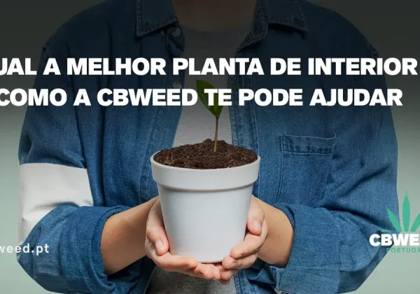 blog-17-04B