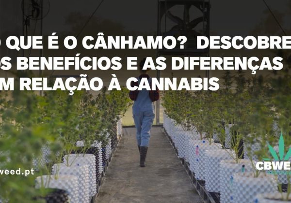 cânhamo